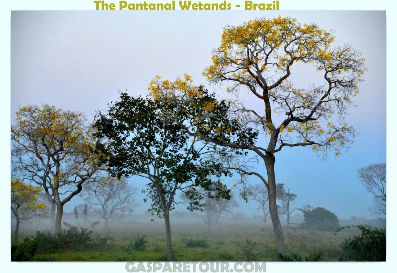 Dom Bosco Hostel Cuiabá Eksteriør bilde